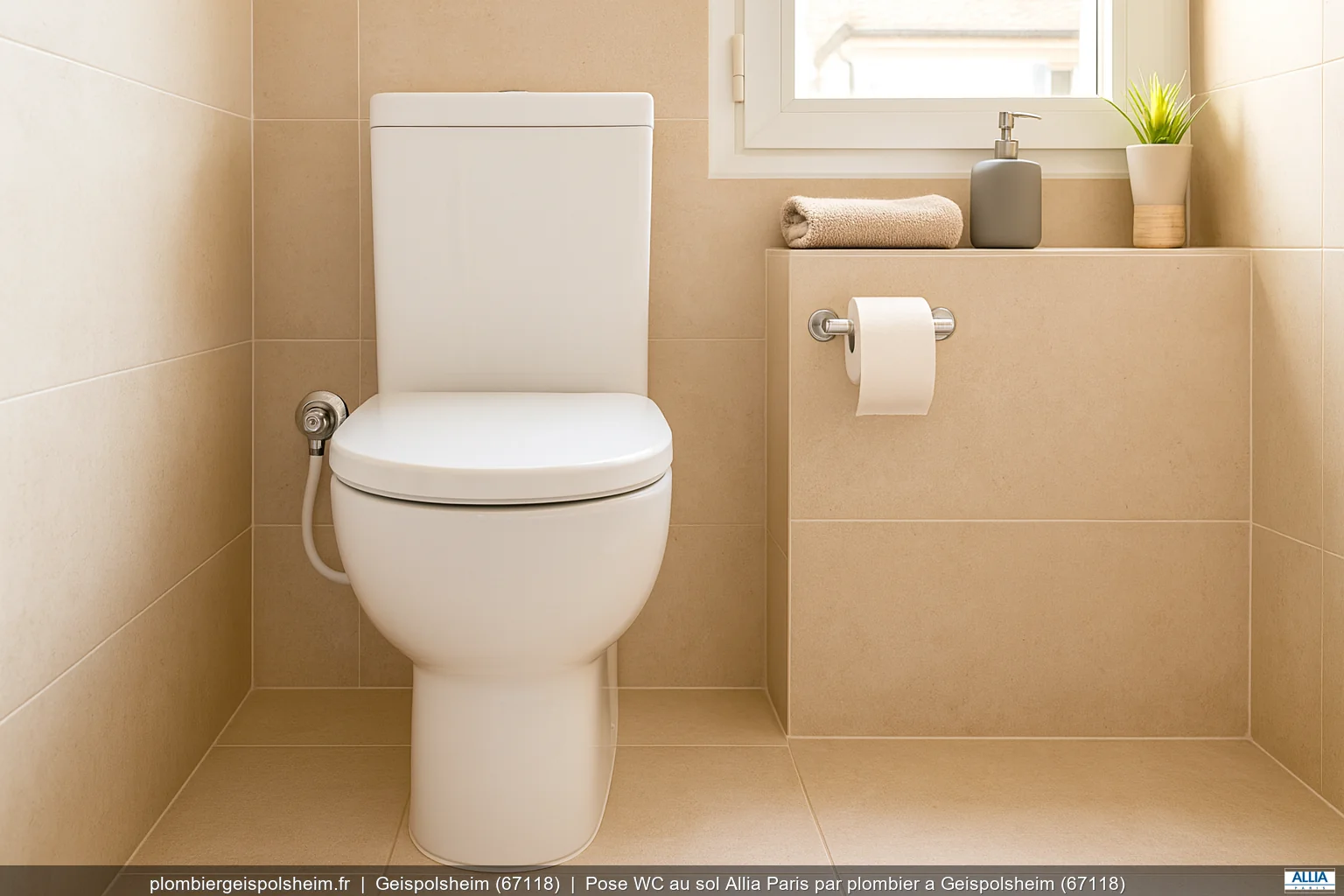 Pose WC au sol Allia Paris par plombier a Geispolsheim (67118)